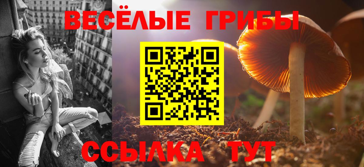 МЕФ Сорочинск